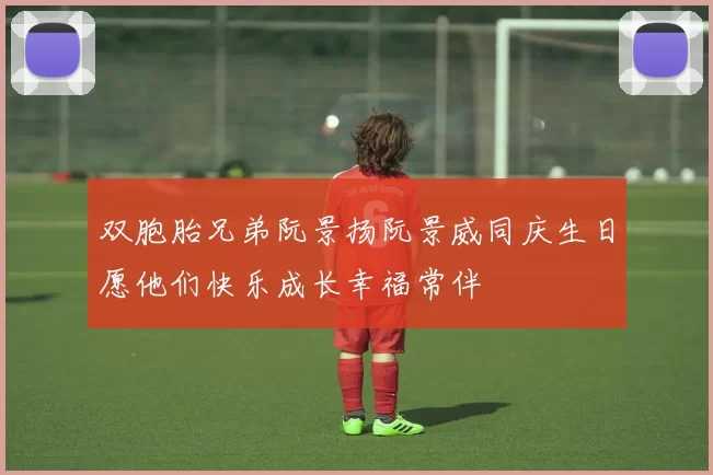 双胞胎兄弟阮景扬阮景威同庆生日愿他们快乐成长幸福常伴